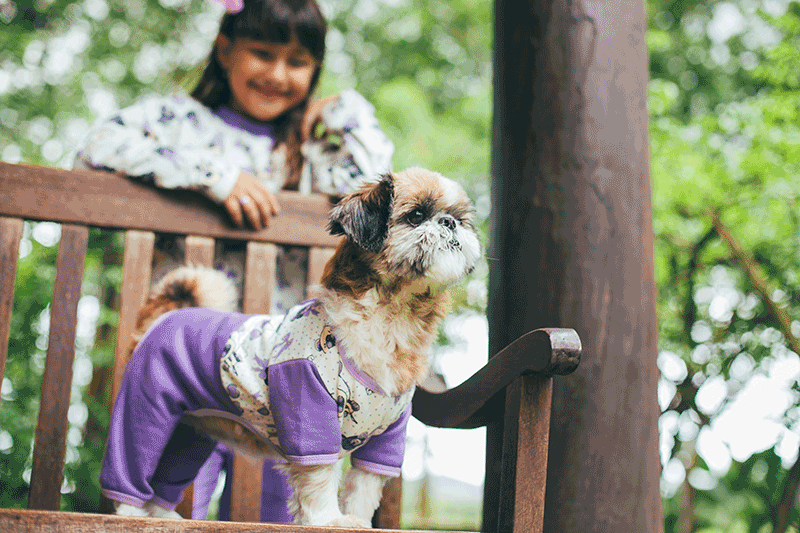 Tal mãe, tal filha - Roupinhas para seu pet e para você!